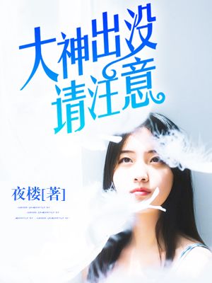 小说大神出没请注意