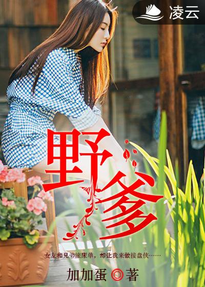 野三七叶子图片